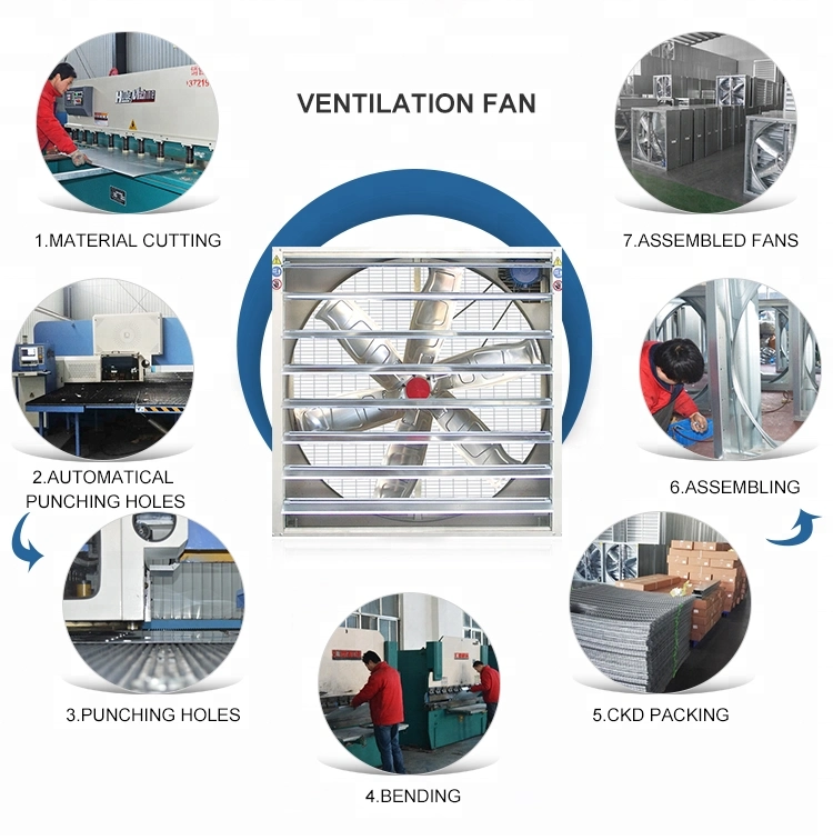 Drop Hammer Industrial Exhaust Fan/Chicken Poultry House Ventilation Fan